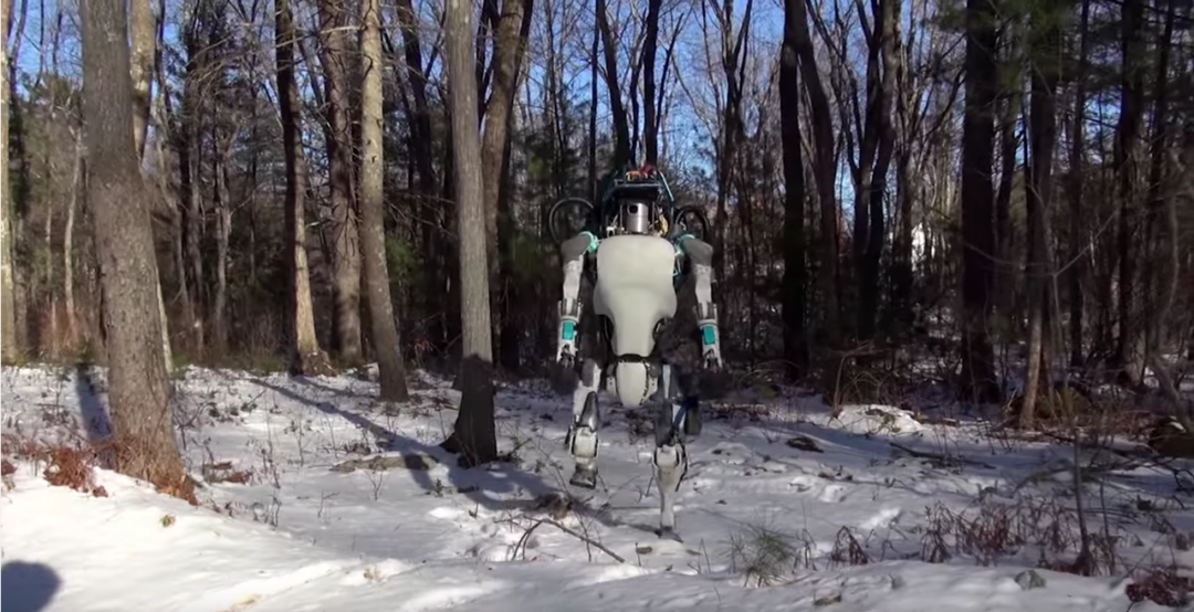 Robot standing in snow