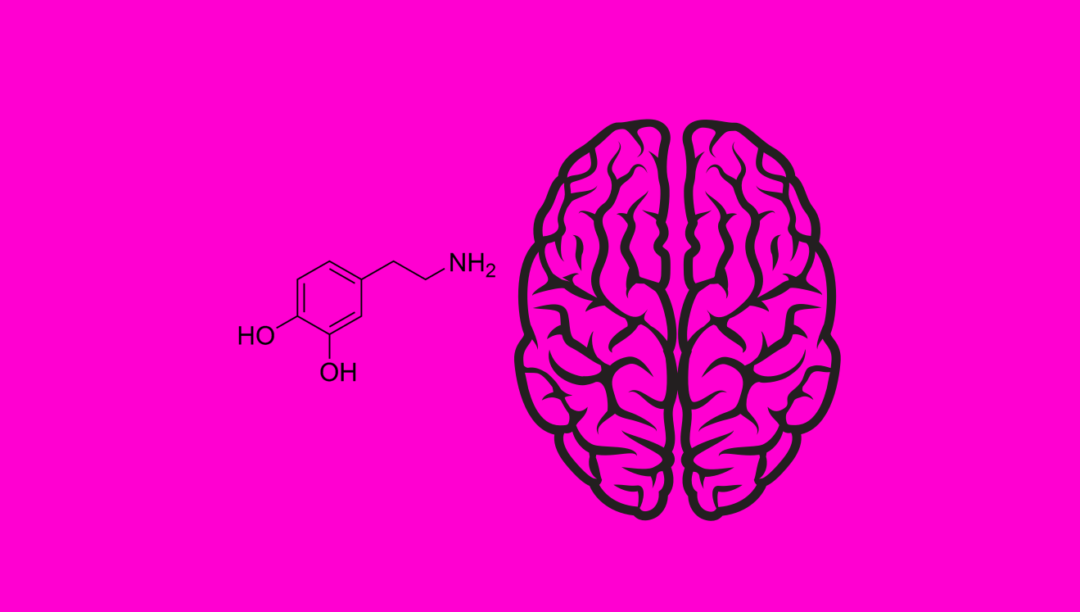 Illustrations of a brain and serotonin molecule sit on a fuschia background.