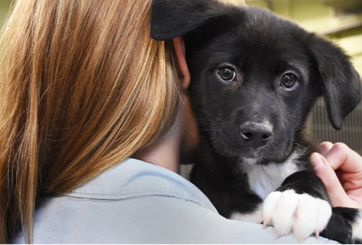 A young woman holds a small black and white puppy