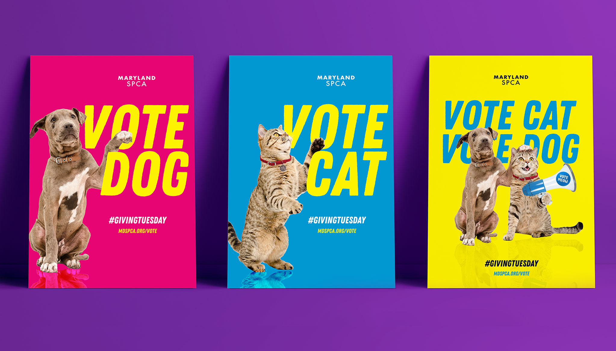 Posters vote cat vote dog