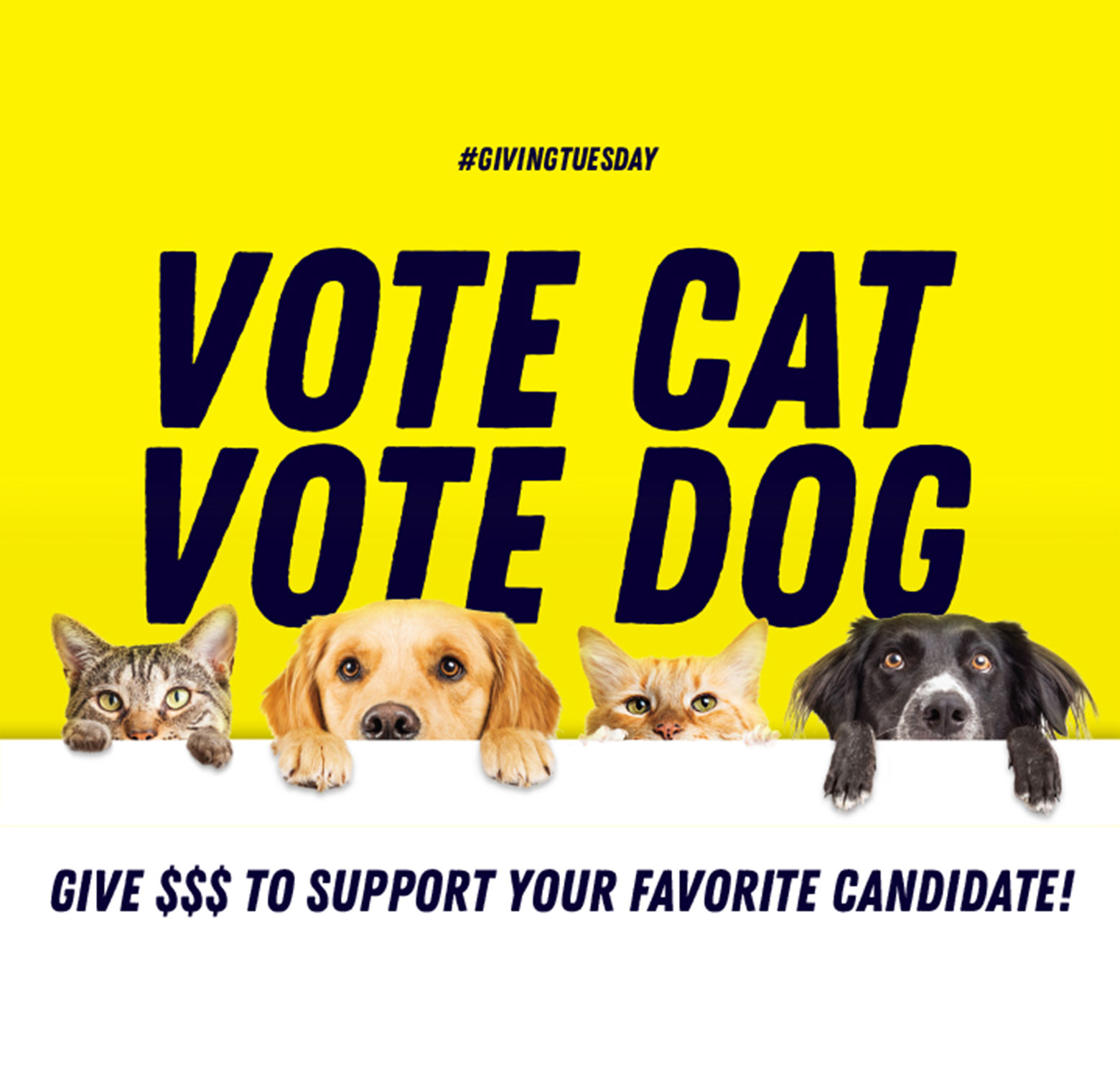 yellow vote cat vote dog
