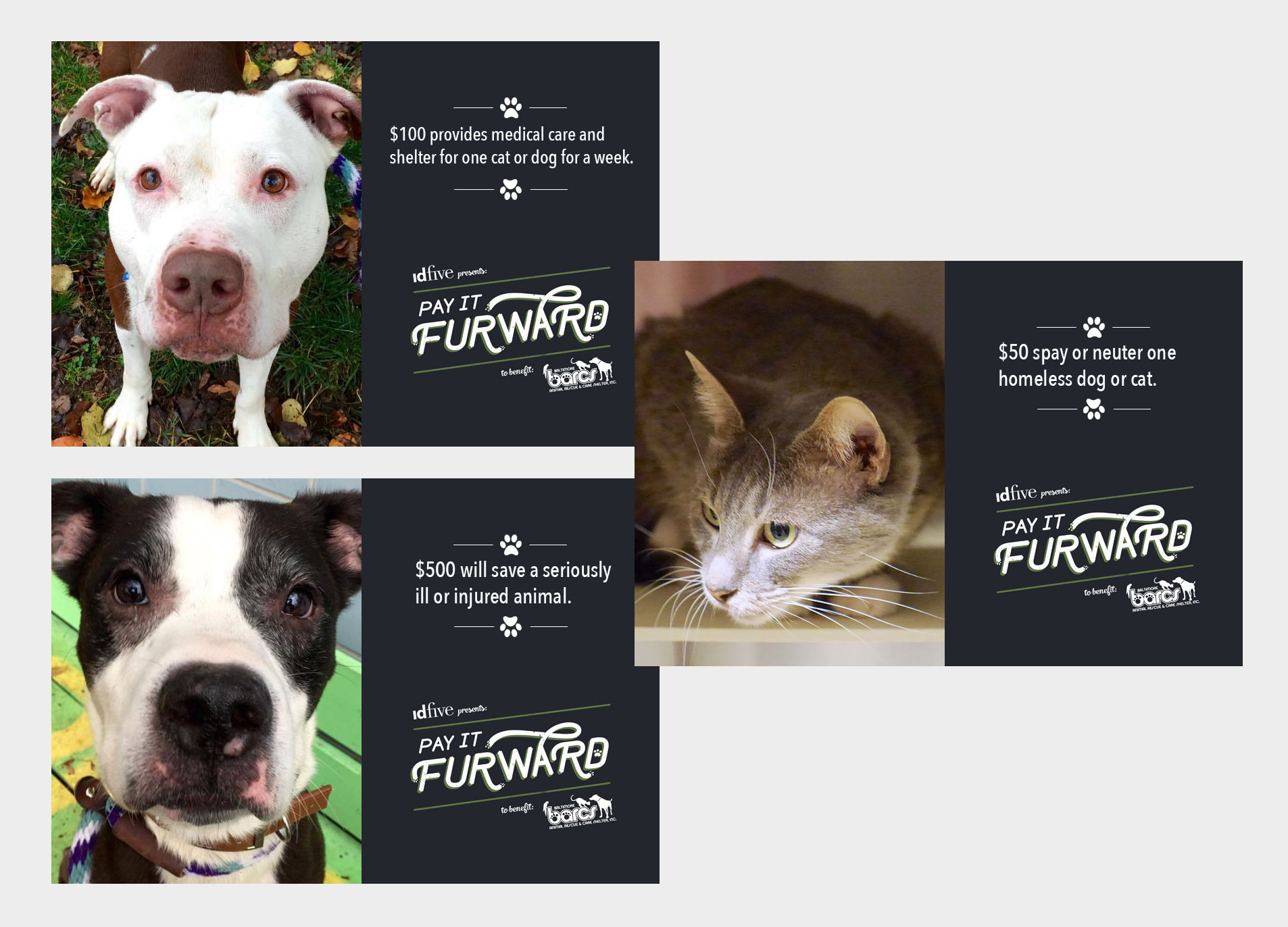 BARCS Pay It Furward social posts