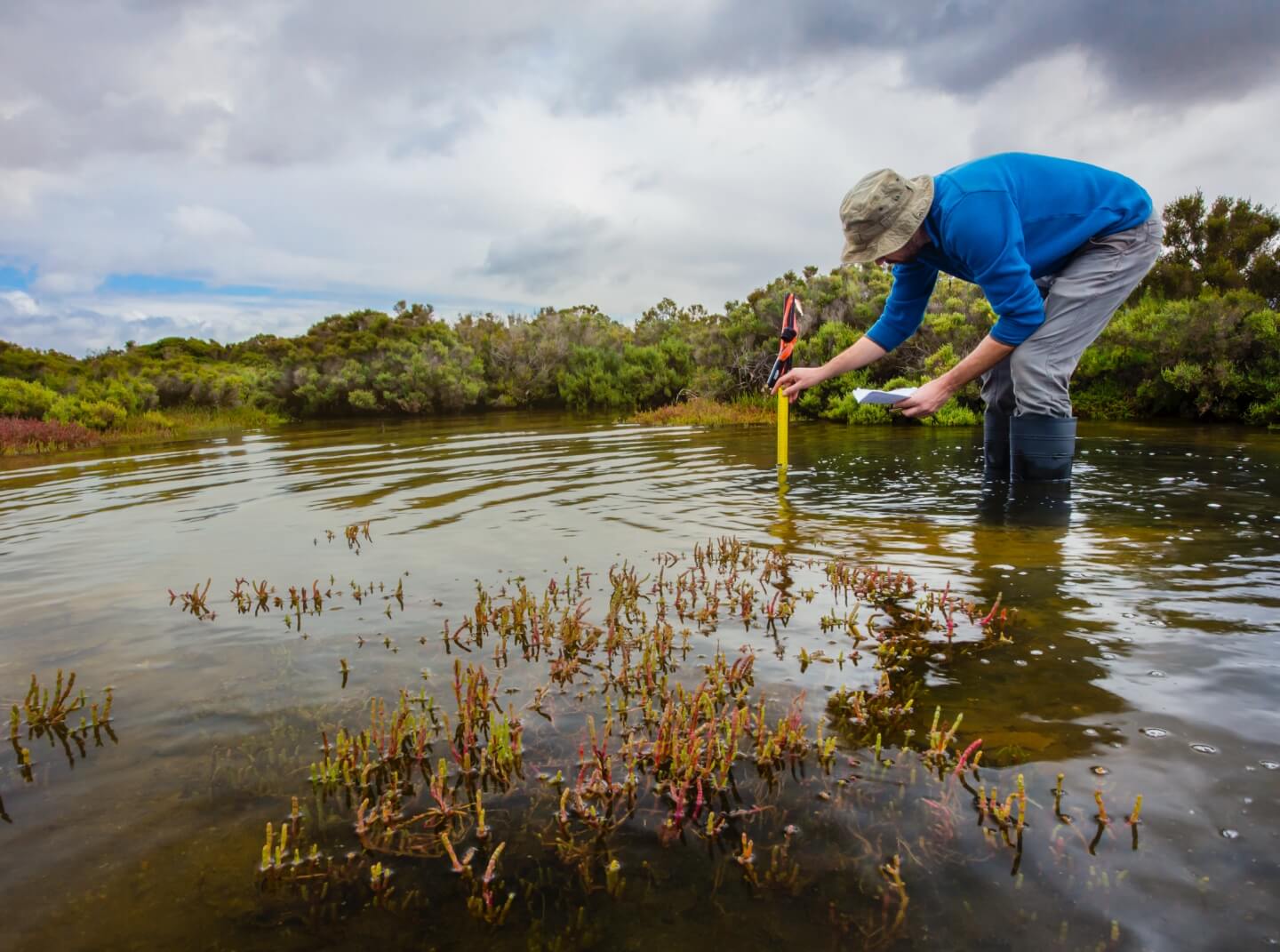 A scientist standing in a stream measures water depth for a study