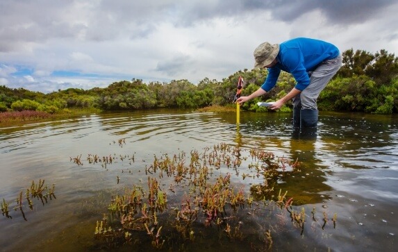 A scientist standing in a stream measures water depth for a study
