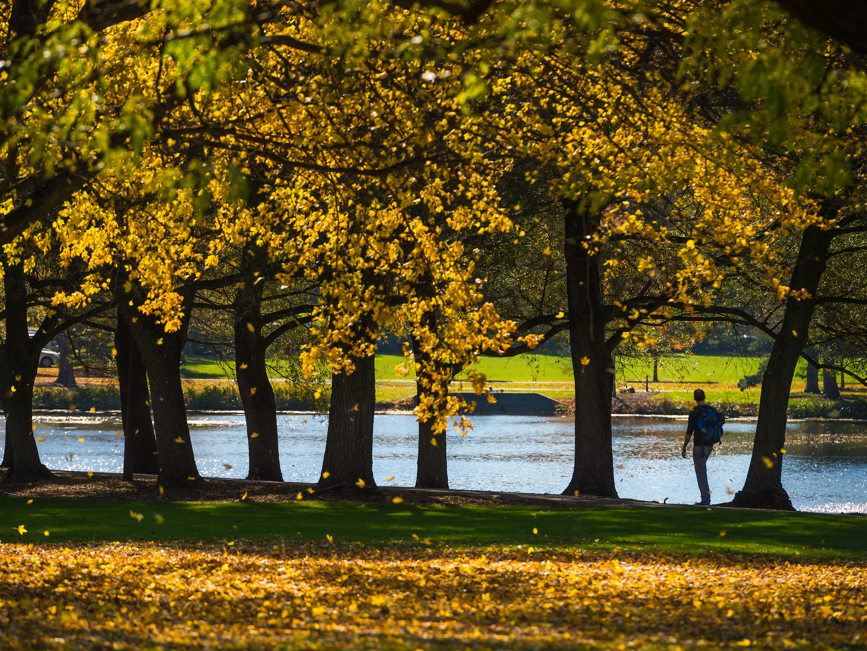 Colgate Campus