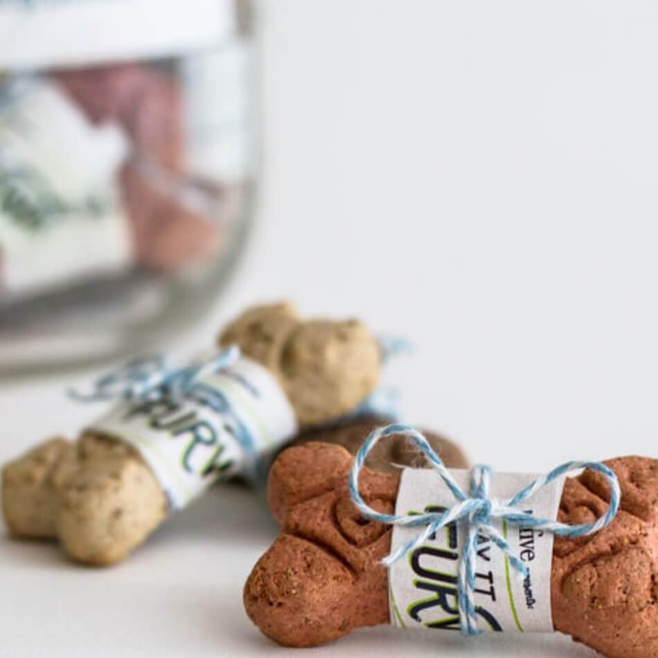 Dog bone cookies with labels tied around them.